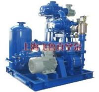上海JZJ2B羅茨水環真空機組 原理、型號及價格解析